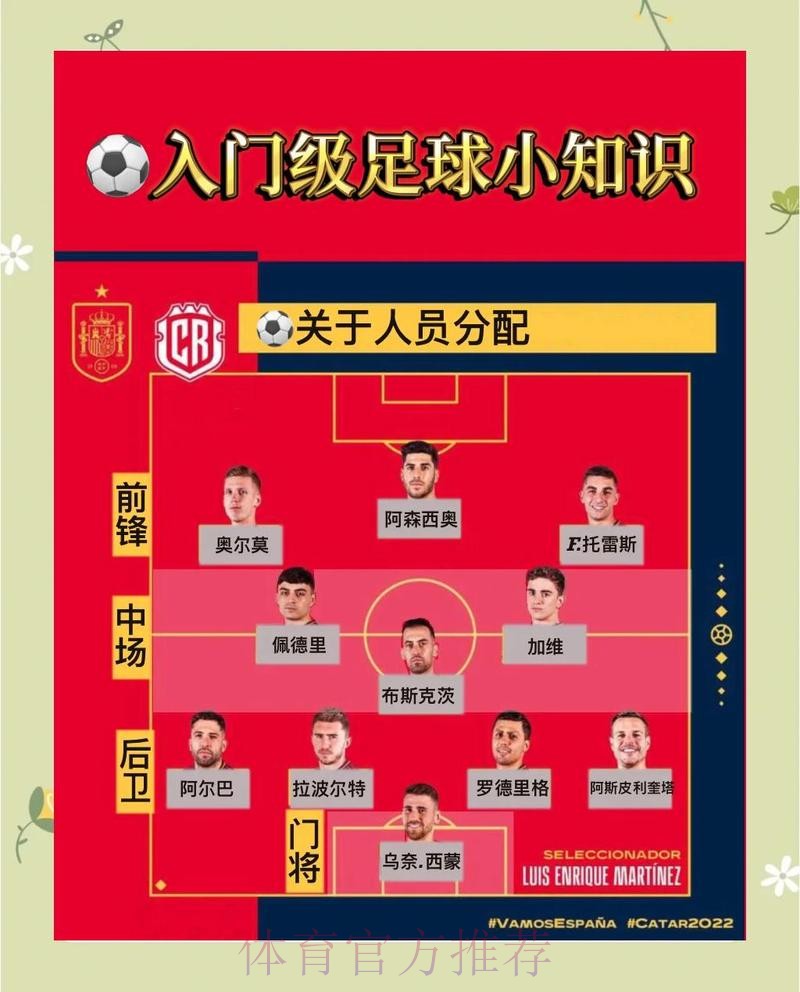 世界杯投注全攻略：聚焦热门球队与赔率深度解读