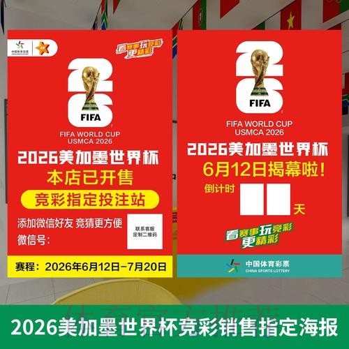 世界杯投注全攻略:构建持久稳定的全站策略 世界杯投注全攻略:构建持久稳定的全站策略